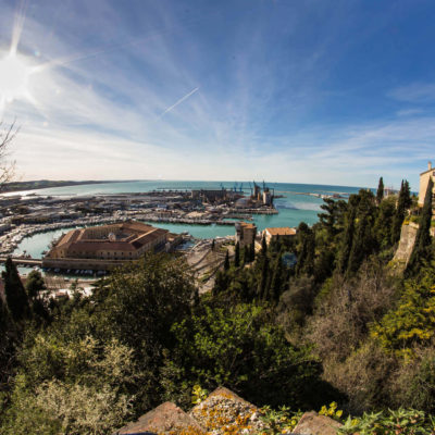 immagine-mandracchio